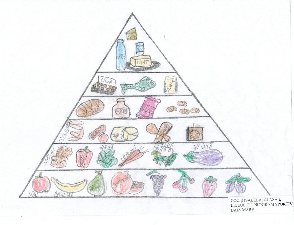 108_Cocis Isabela_LPS B_prim.JPG